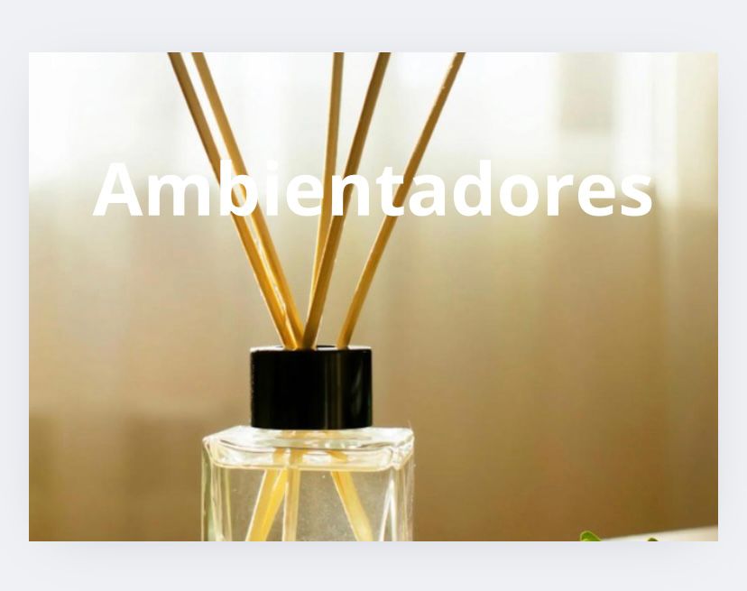AMBIENTADORES